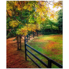 Print - Autumn Colours at Cranny, County Clare