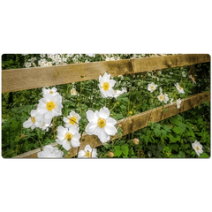 Desk Mat - Japanese Anemones in the Irish Countryside - James A. Truett - Moods of Ireland - Irish Art