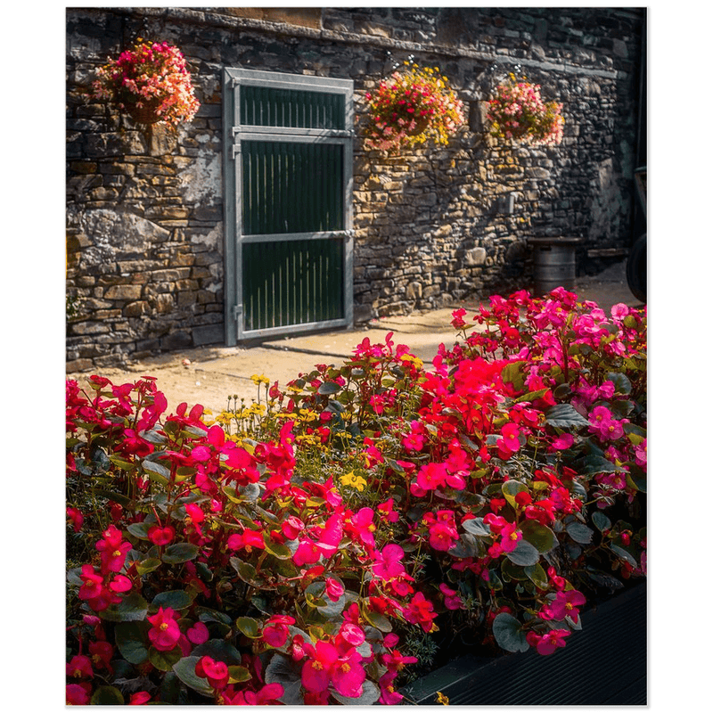 Print - Flowers at Barnyard Coffee, Carrigaholt, County Clare - Moods of Ireland