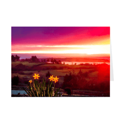 Folded Note Cards - Daffodil Sunrise in Crovraghan, County Clare, Ireland - James A. Truett - Moods of Ireland - Irish Art