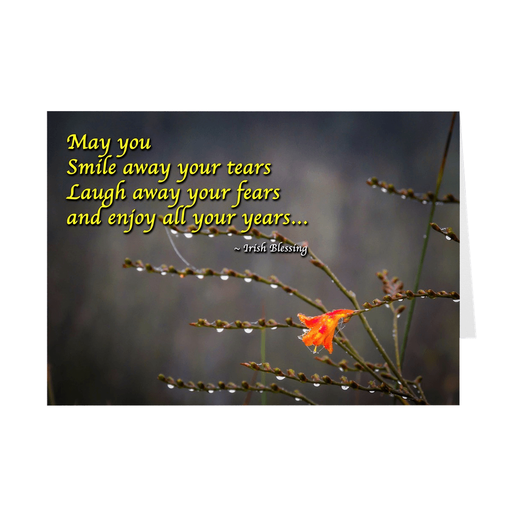 Folded Note Cards - Irish Blessing - May You Smile Away Your Tears - James A. Truett - Moods of Ireland - Irish Art