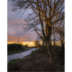 Print - Morning Sun on Irish County Road, County Clare - James A. Truett - Moods of Ireland - Irish Art