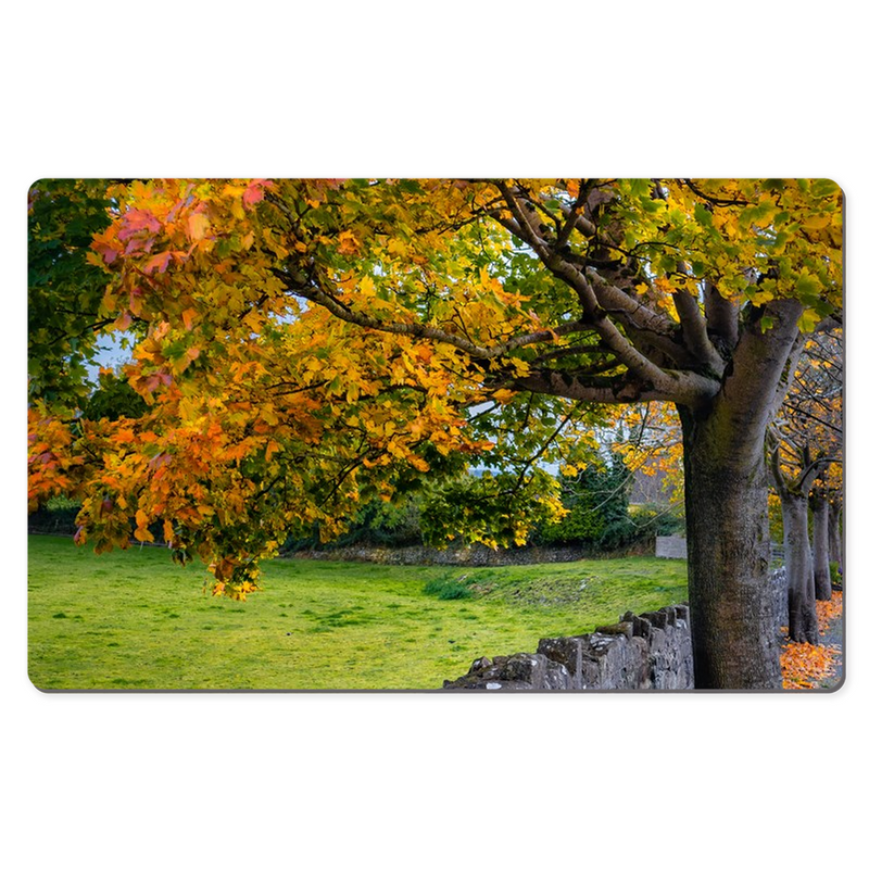 Desk Mat - Autumn Tree at Kildysart, County Clare - James A. Truett - Moods of Ireland - Irish Art