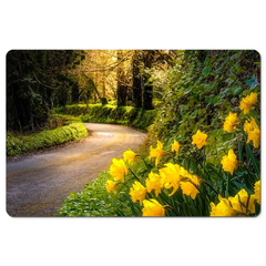 Desk Mat - Spring Daffodils on Irish County Road, County Clare - James A. Truett - Moods of Ireland - Irish Art
