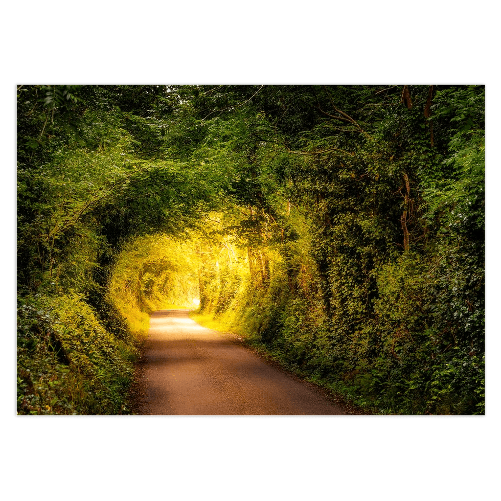Folded Note Cards - Green Tunnel in Lavalla, County Clare - James A. Truett - Moods of Ireland - Irish Art