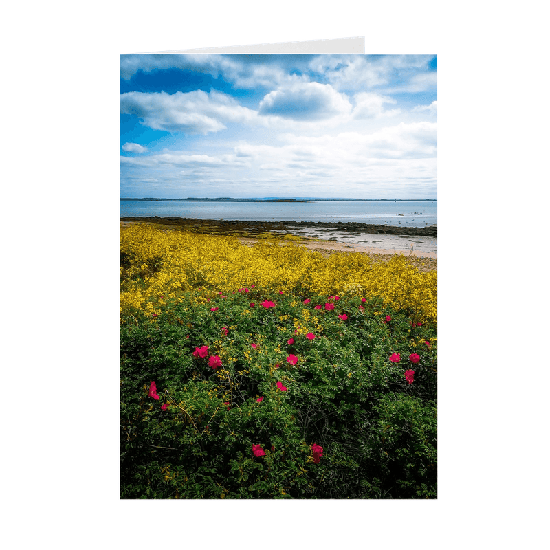 Folded Note Cards - Summer Wildflowers on Galway Bay - James A. Truett - Moods of Ireland - Irish Art