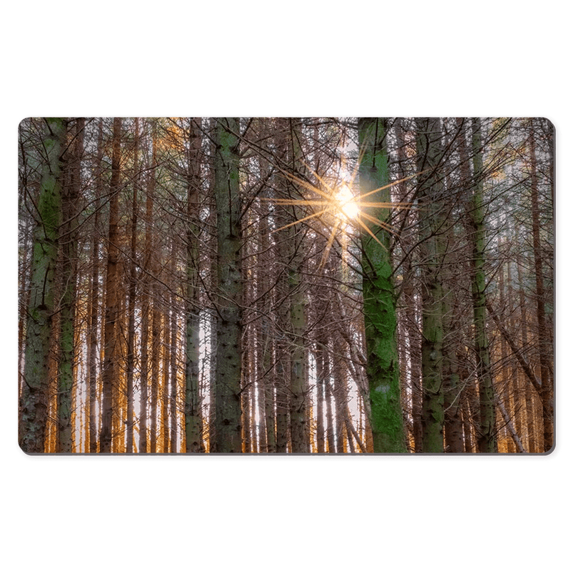 Desk Mat - Enchanted Irish Forest in Autumn Light, County Clare - James A. Truett - Moods of Ireland - Irish Art