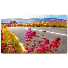 Desk Mat - Wild Valerian on the Roadside in County Clare - James A. Truett - Moods of Ireland - Irish Art