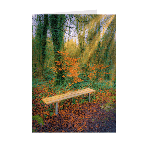 Folded Note Cards - Bench at Dromore Wood in Autumn - James A. Truett - Moods of Ireland - Irish Art