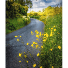 Shower Curtain - Buttercups on the Road to Lavalla, County Clare - James A. Truett - Moods of Ireland - Irish Art