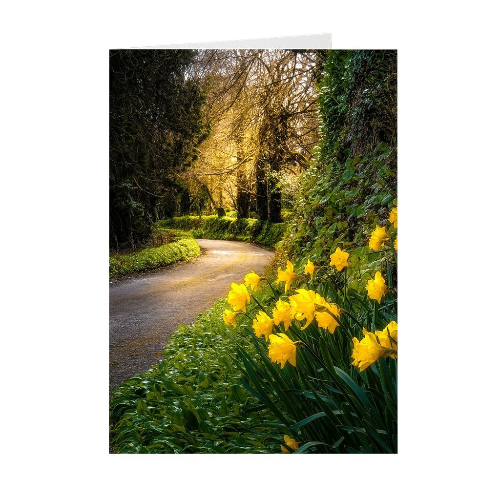 Folded Note Cards - Irish Spring Country Road, County Clare - James A. Truett - Moods of Ireland - Irish Art