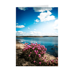 Folded Note Cards - Sea Pinks along Ireland's Shannon Estuary - James A. Truett - Moods of Ireland - Irish Art