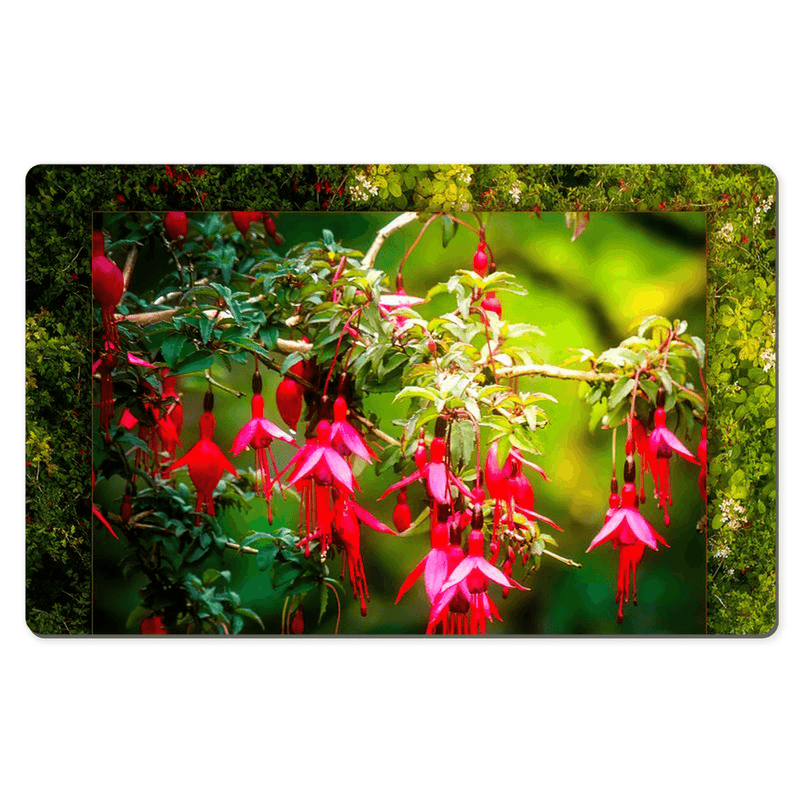 Desk Mat - Vibrant Fuchsias on a Hillside, County Clare - James A. Truett - Moods of Ireland - Irish Art