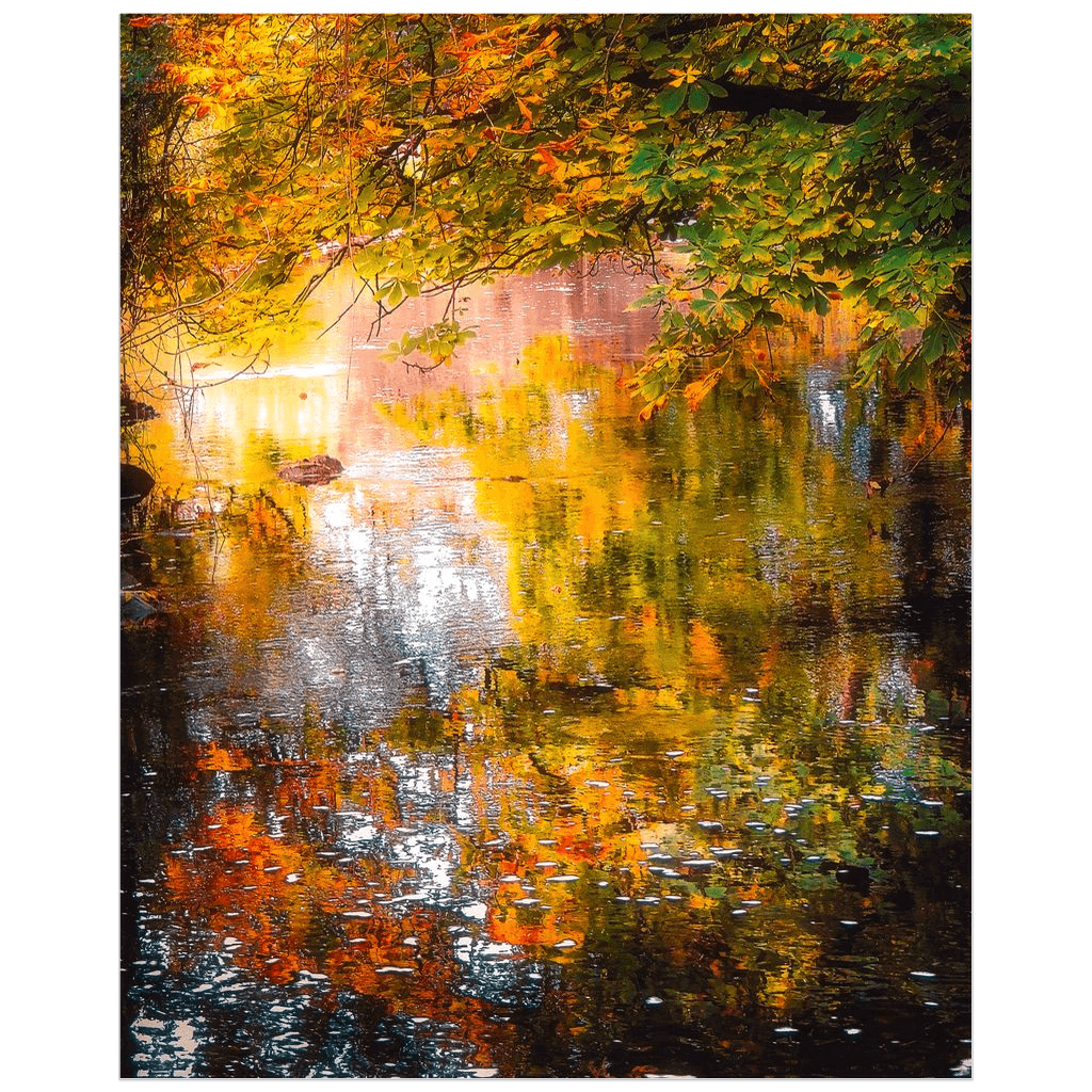 Print - Shimmering Irish Autumn, County Galway - Moods of Ireland