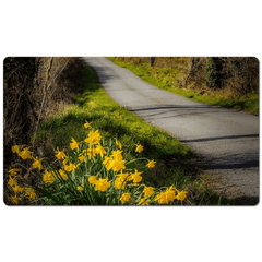 Desk Mat - Spring Daffodils under Blue Sky, County Clare - James A. Truett - Moods of Ireland - Irish Art