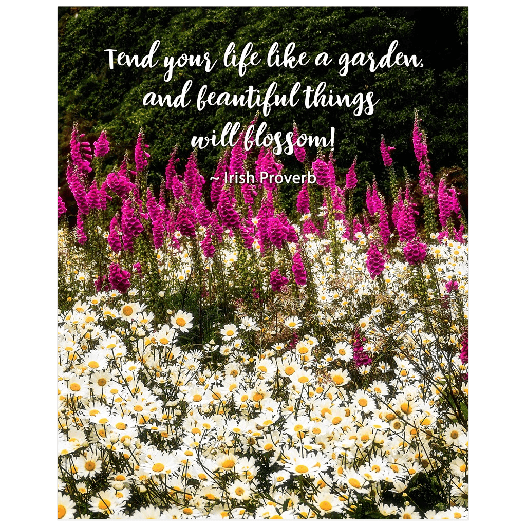 Irish Proverb Print - Tend Your Life Like a Garden - James A. Truett - Moods of Ireland - Irish Art