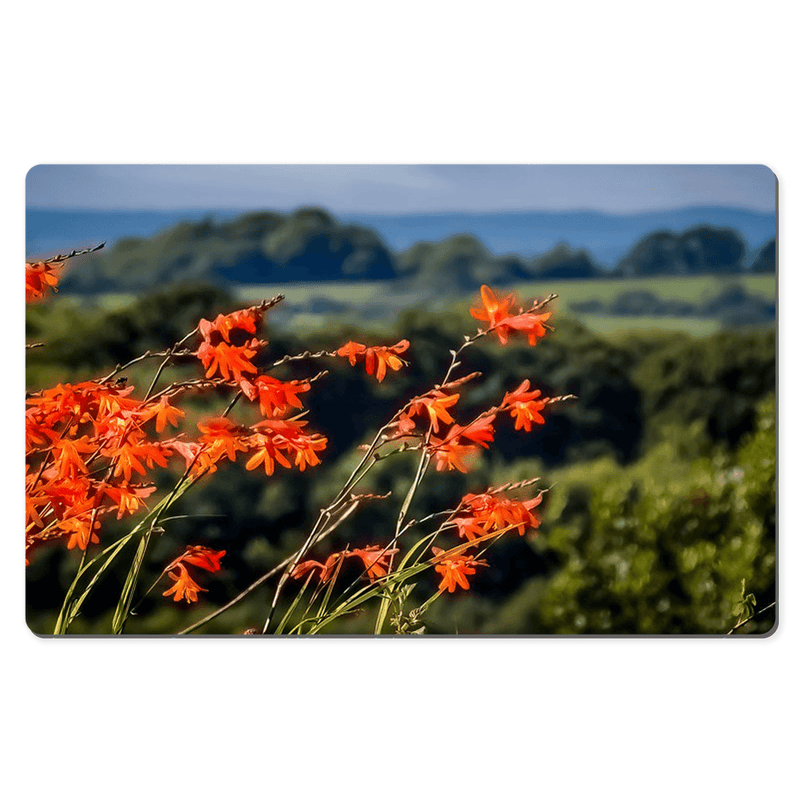 Desk Mat - Vibrant Montbretia Flowers in the County Clare Countryside - James A. Truett - Moods of Ireland - Irish Art