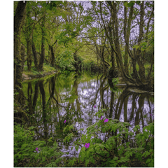 Shower Curtain - Streamstown River Reflections, County Galway - James A. Truett - Moods of Ireland - Irish Art