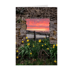 Folded Note Cards - Daffodil Sunrise in the Irish Countryside - James A. Truett - Moods of Ireland - Irish Art