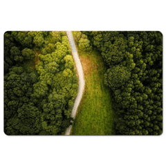 Desk Mat - Forest Path at Lough Graney, County Clare - James A. Truett - Moods of Ireland - Irish Art