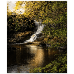 Print - Tranquil Bluebell Falls at Clondegad, County Clare - James A. Truett - Moods of Ireland - Irish Art