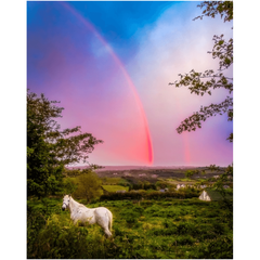 Print - Monochrome Irish Rainbow at Sunset, County Clare, Ireland - James A. Truett - Moods of Ireland - Irish Art