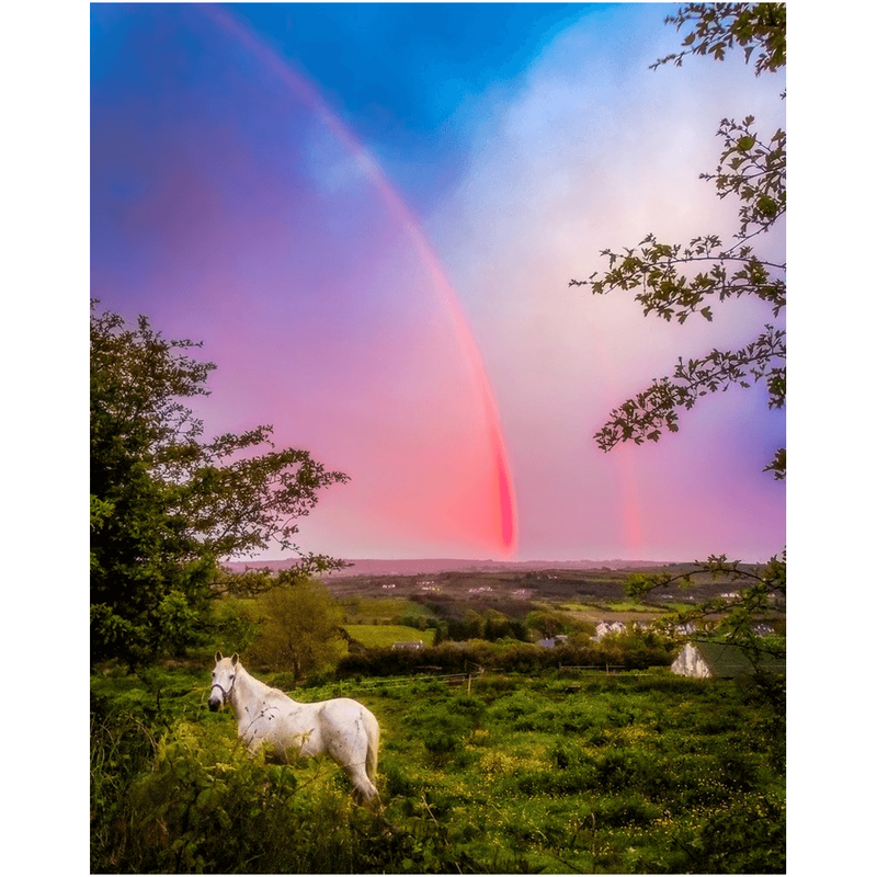 Print - Monochrome Irish Rainbow at Sunset, County Clare, Ireland - James A. Truett - Moods of Ireland - Irish Art