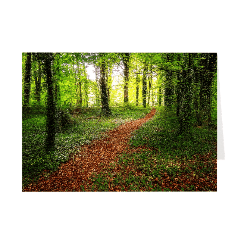 Folded Note Cards - Pathway to Spring, Coole Park, County Galway - James A. Truett - Moods of Ireland - Irish Art