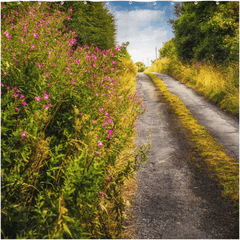 Shower Curtain - Roadside Wildflowers at Kilkerin Point, County Clare - Moods of Ireland