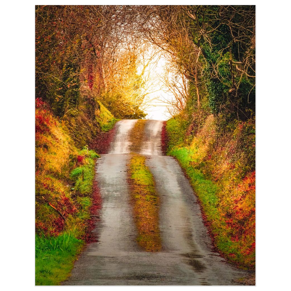 Print - Rising Boreen in the Irish Countryside, County Clare