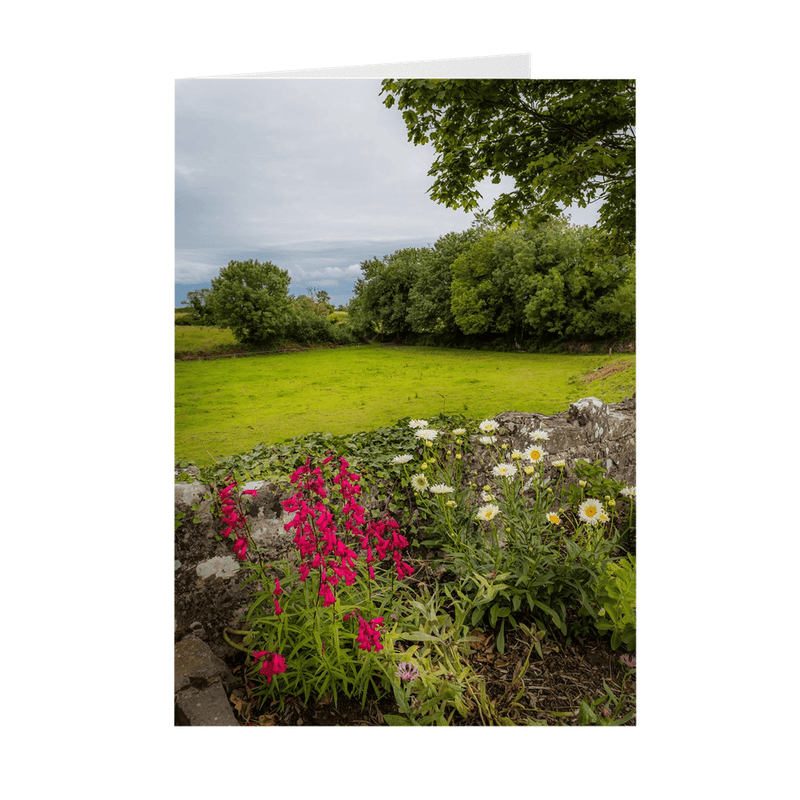 Folded Note Cards - Kildysart Field and Flowers, County Clare - James A. Truett - Moods of Ireland - Irish Art