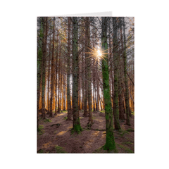 Folded Note Cards - Enchanted Irish Forest in Autumn Light, County Clare - James A. Truett - Moods of Ireland - Irish Art