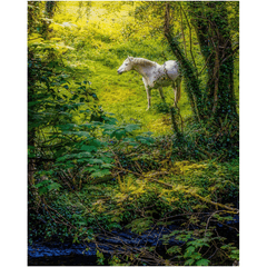 Print - White Horse in 40 Shades of Green, County Clare - James A. Truett - Moods of Ireland - Irish Art
