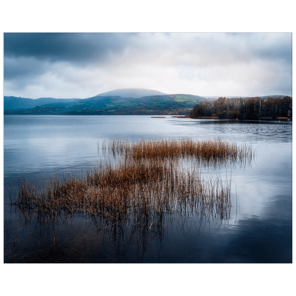Print - Reeds and Waters of Lough Derg, Ireland - Moods of Ireland