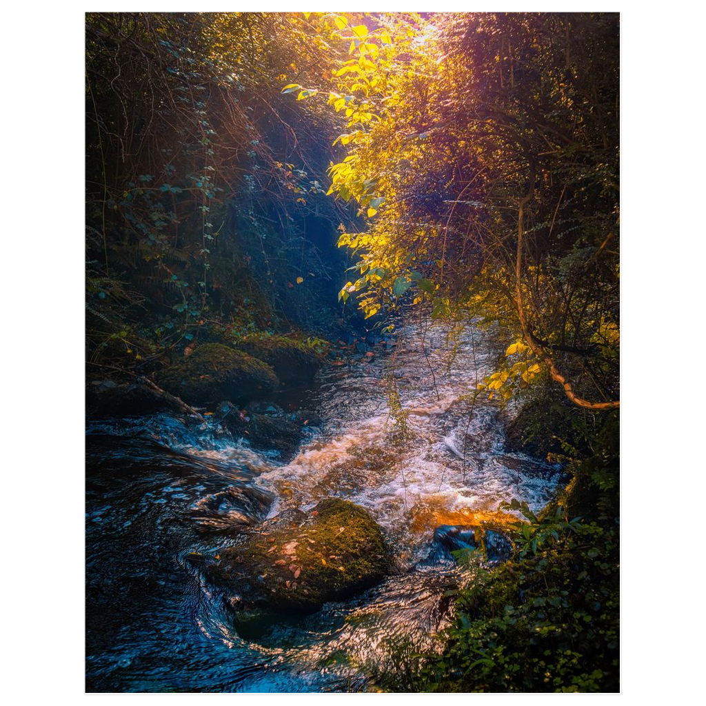 Print - Morning Sun at St. Martin's Well, Ballynacally, County Clare