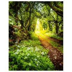 Print - County Clare path lined with Wild Garlic and Wildflowers - James A. Truett - Moods of Ireland - Irish Art