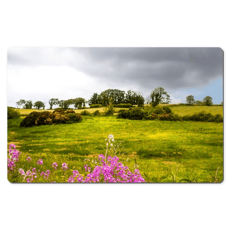 Desk Mat - Lissycasey Wildflowers, County Clare, Ireland - James A. Truett - Moods of Ireland - Irish Art