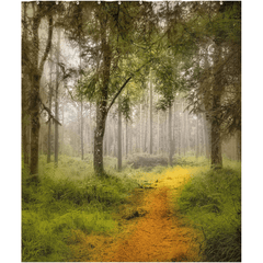 Shower Curtain - Irish Mist in Portumna Forest Park, County Galway - James A. Truett - Moods of Ireland - Irish Art