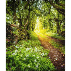 Shower Curtain - County Clare path lined with Wild Garlic and Wildflowers - James A. Truett - Moods of Ireland - Irish Art