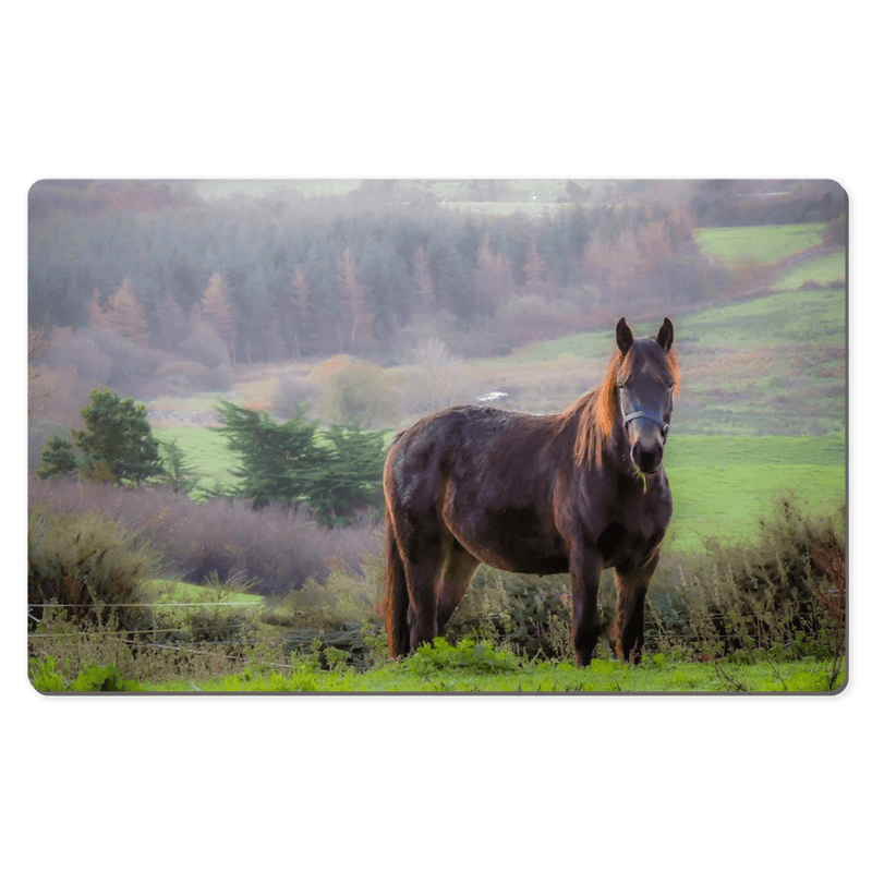 Desk Mat - Horse in the Irish Mist, County Clare - James A. Truett - Moods of Ireland - Irish Art