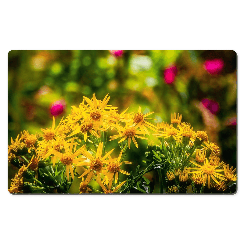 Desk Mat - Irish Wildflowers of Liscormick, County Clare - Moods of Ireland