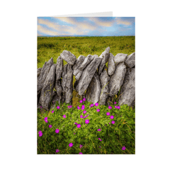 Folded Note Cards - Bloody Cranes-bill Wildflowers in the Burren - James A. Truett - Moods of Ireland - Irish Art