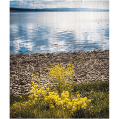 Shower Curtain - Yellow Flowers on Shannon Estuary Shores, County Clare - James A. Truett - Moods of Ireland - Irish Art