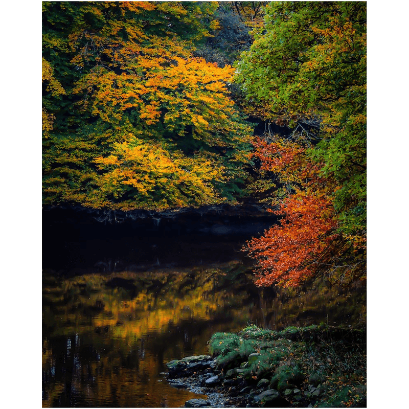 Print - Autumn on Ireland's Cloon River, County Clare - James A. Truett - Moods of Ireland - Irish Art