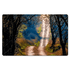 Desk Mat - County Clare Boreen in Spring - James A. Truett - Moods of Ireland - Irish Art