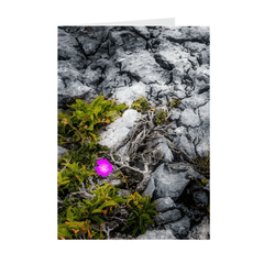 Folded Note Cards - Lone Wildflower in the Burren Limestone - James A. Truett - Moods of Ireland - Irish Art