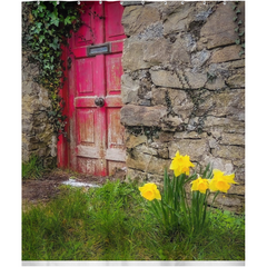 Shower Curtain - Daffodils Outside Irish Cottage, Kilrush, County Clare - James A. Truett - Moods of Ireland - Irish Art