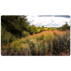 Desk Mat - Great Willowherb Wildflower Explosion, County Clare - James A. Truett - Moods of Ireland - Irish Art