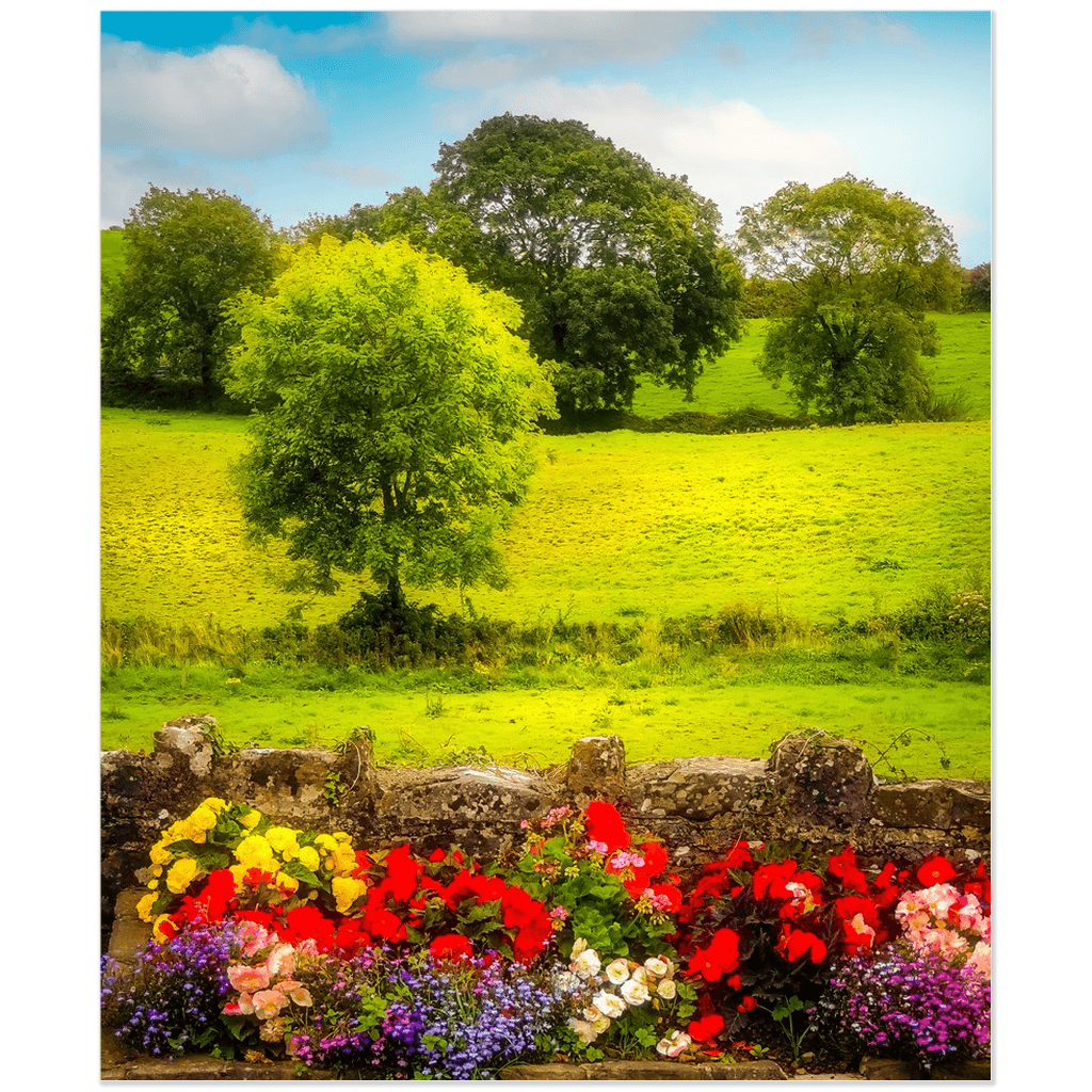 Print - Green Meadows of Kildysart, County Clare - James A. Truett - Moods of Ireland - Irish Art