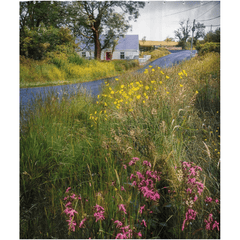 Shower Curtain - Summer Wildflowers near Kildysart, County Clare - James A. Truett - Moods of Ireland - Irish Art